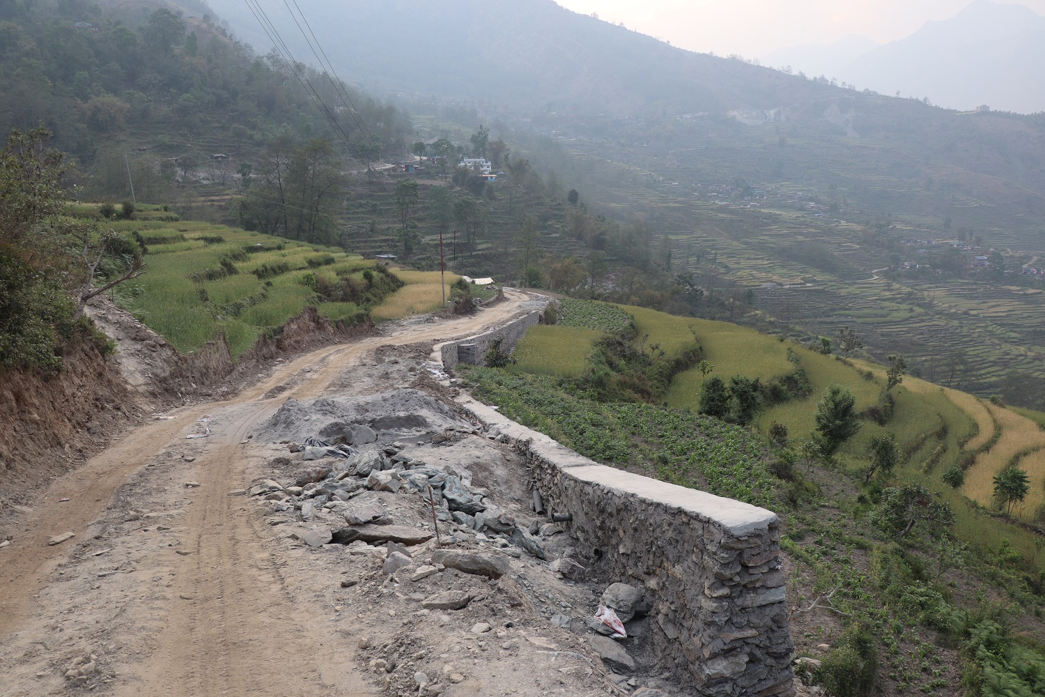 आलेखः जैविक विविधता तथा वन्यजन्तुको सम्बन्धको दीर्घकालीन खोजी