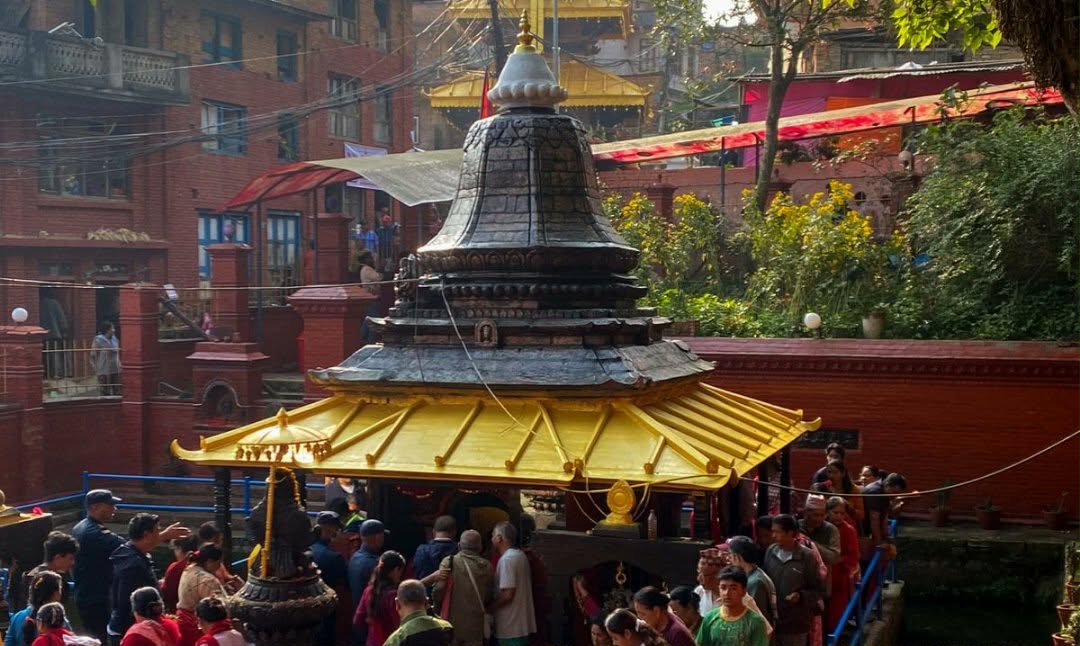     मत्स्यनारायणमा मेला भर्नेको घुइँचो   