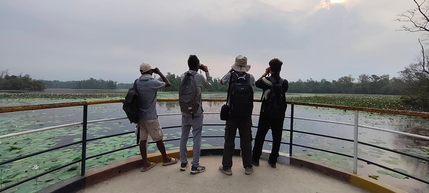     घोडाघोडी सिमसार क्षेत्रमा सूचक प्रजाति हरिहाँसको गणना सुरु   