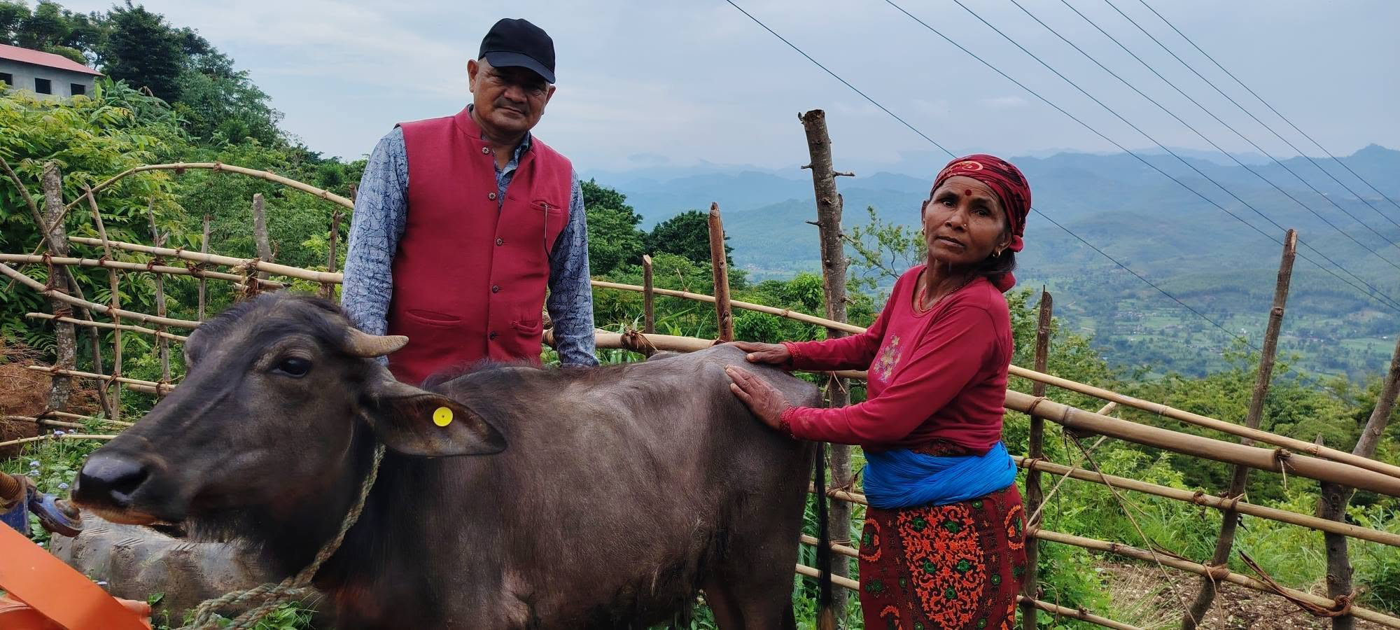     विपन्न परिवारलाई आयआर्जनसँग जोड्न पाडी वितरण   