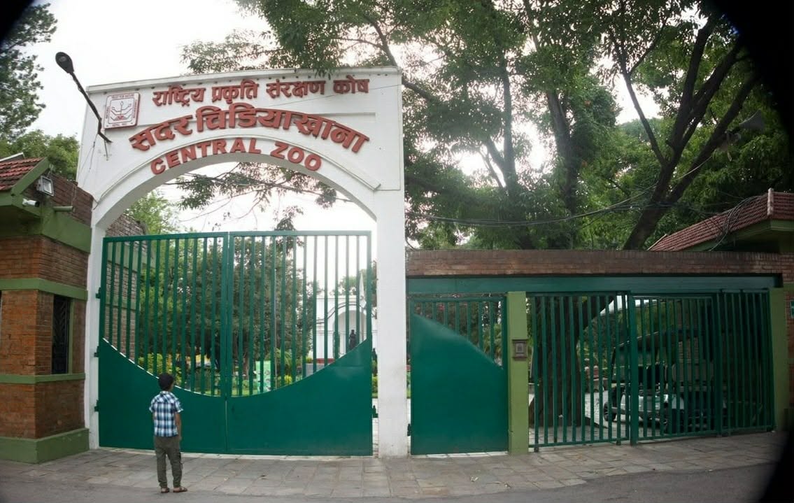     बर्डफ्लुका कारण जावलाखेल चिडियाखानालाई तीन करोड घाटा   