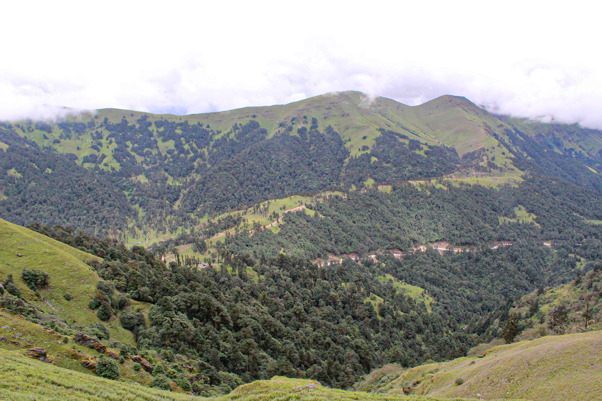     गर्मी छल्न पर्यटक रिग क्षेत्रमा   
