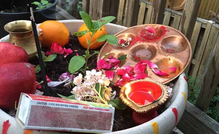     हरिशयनी एकादशीः नारायण मन्दिरमा बिहानैदेखि भक्तजनको घुइँचो   