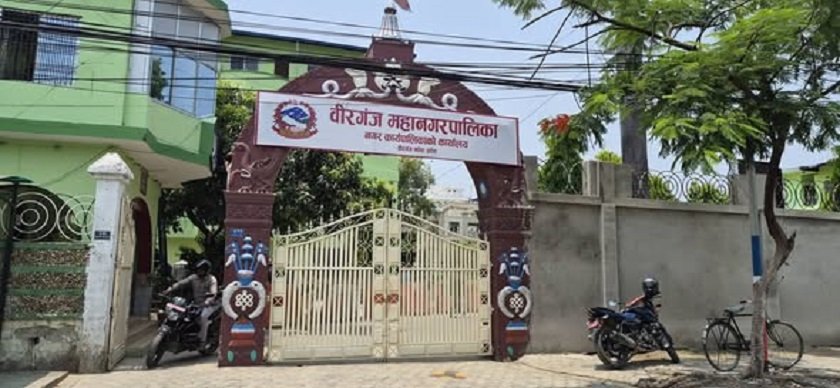     वीरगञ्जमा इन्टरनेटका अव्यवस्थित तार हटाइने   